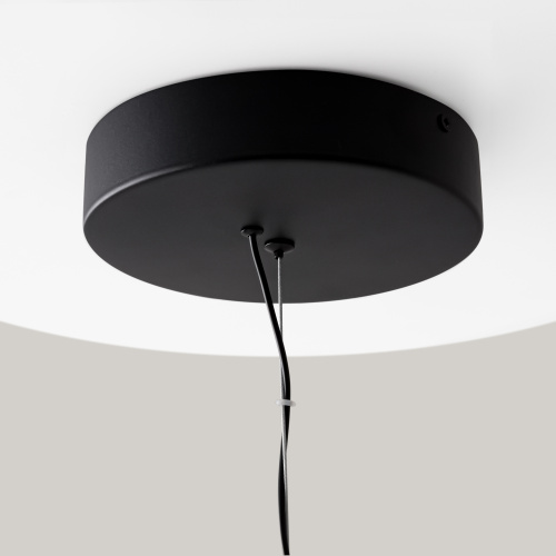 Подвесной светильник Maytoni MOD102PL-L42BK фото 9
