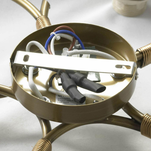 Потолочная люстра Lussole Lgo LSP-0223 фото 5