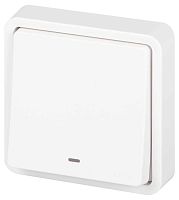 Выключатель ЭРА Эксперт 11-1522-01 с подсветкой IP55 10АХ-250В СУ белый Б0063279