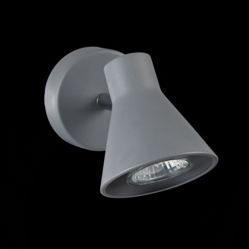 Спот Freya FR4308-WL-01-GR фото 13