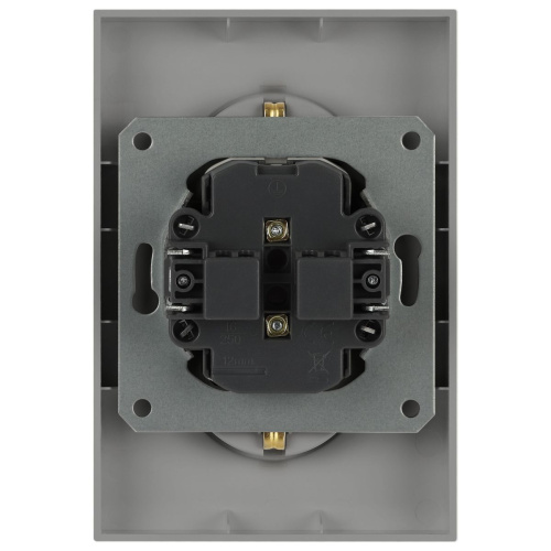 Розетка ЭРА Arktik 16-2107-03 без заземления двойная 2X2P 16А-250В алюминий Б0071683 фото 4