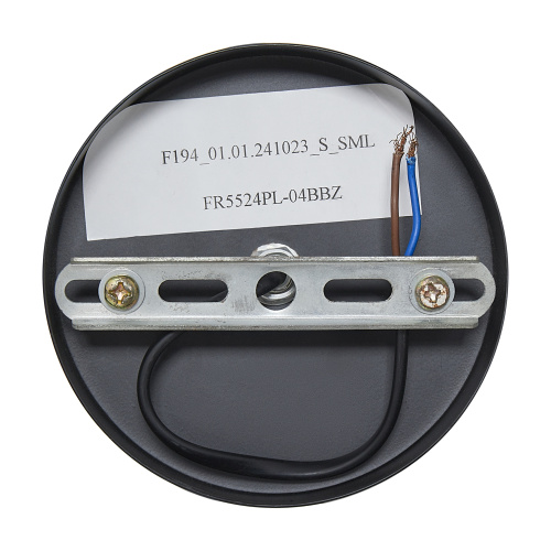 Подвесной светильник Freya FR5524PL-04BBZ фото 12