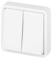 Выключатель ЭРА Эксперт 11-1524-01 двойной IP55 10АХ-250В СУ белый Б0063271