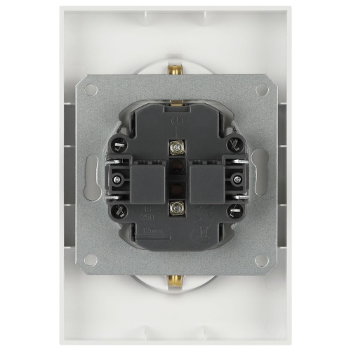 Розетка ЭРА Arktik 16-2105-04 двойная с заземлением 2X2P+E Schuko со шторками 16А-250В шампань Б0070457 фото 4 Розетка ЭРА Arktik 16-2105-04 двойная с заземлением 2X2P+E Schuko со шторками 16А-250В шампань Б0070457 фото 4
