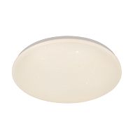 Потолочный светильник Escada 10213/SG LED*40W White