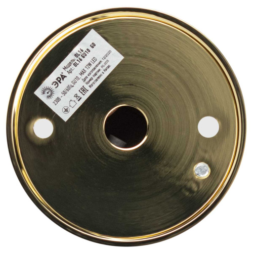 Накладной светильник ЭРА OL16 GU10 GD Б0049047 фото 4