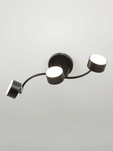 Спот Rivoli Vanessa 7074-703 Б0069922 фото 10