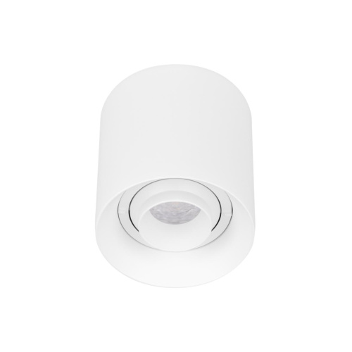 Светильник SP-ACENTO-R95-10W Day4000 (WH, 20-45 deg, 230V) Arlight 055739