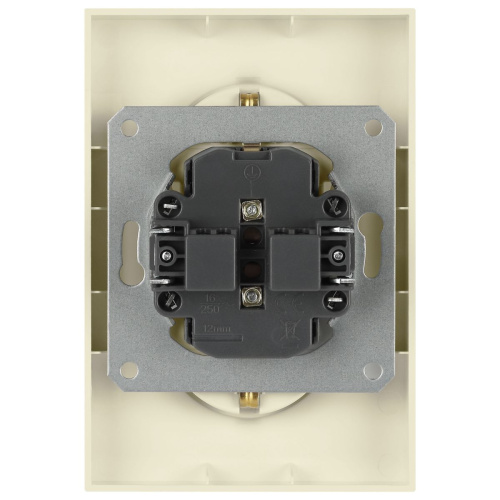 Розетка ЭРА Arktik 16-2105-02 двойная с заземлением 2X2P+E Schuko со шторками 16А-250В слоновая кость Б0070455 фото 4