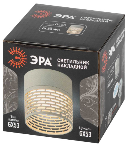 Настенно-потолочный светильник ЭРА OL53 WH Б0061189 фото 8