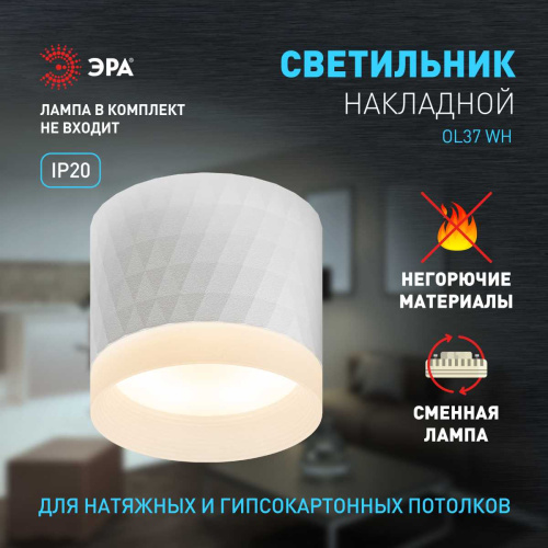 Настенно-потолочный светильник ЭРА OL37 WH Б0056385 фото 9