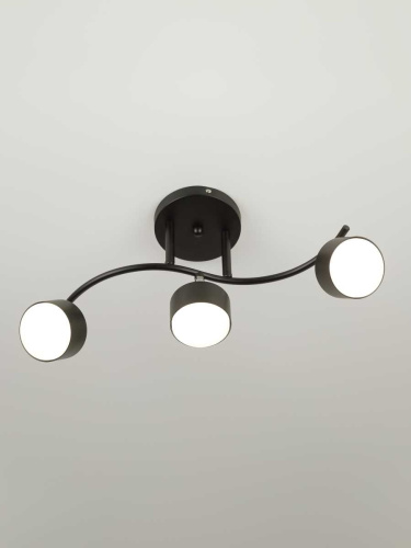 Спот Rivoli Vanessa 7074-703 Б0069922 фото 7