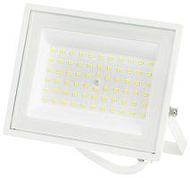 Прожектор светодиодный уличный ЭРА LPR-023-W-65K-050 Б0054642