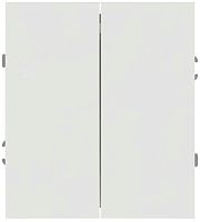 Переключатель ЭРА Arktik 16-1106-01 двойной 10АХ-250В белый Б0070364