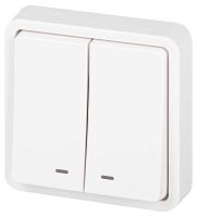 Выключатель ЭРА Эксперт 11-1525-01 двойной с подсветкой IP55 10АХ-250В СУ белый Б0063304