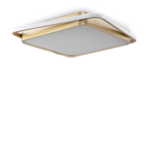 Потолочный светильник Freya FR10026CL-L93G фото 9