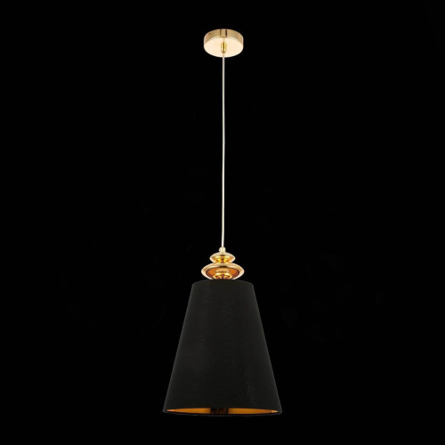 Подвесной светильник Evoluce Rionfo SSL1137.203.01 фото 4