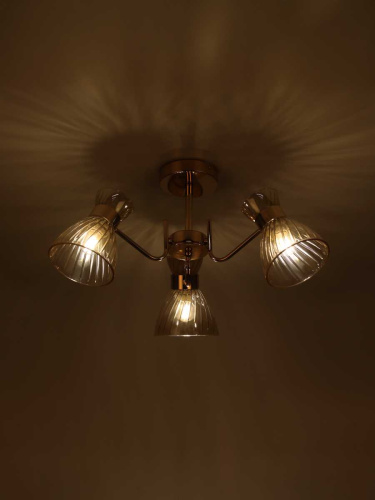 Потолочная люстра Rivoli Victoria 9183-303 Б0069943 фото 8