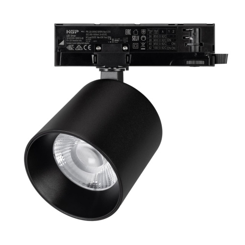 Светильник LGD-DYKE-4TR-R100-36W Day4000 (BK, 50 deg, 230V) Arlight 052293