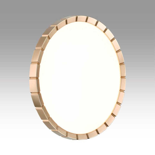 Настенно-потолочный светодиодный светильник Sonex Pale Atabi Gold 7648/CL фото 3
