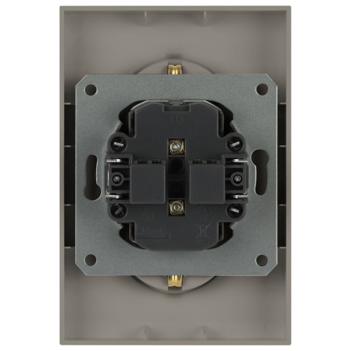 Розетка ЭРА Arktik 16-2107-07 без заземления двойная 2X2P 16А-250В титан Б0071687 фото 4