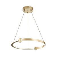 Подвесной светильник 14015/1P Gold