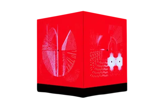 В мгновение ока: 60 световых инсталляций