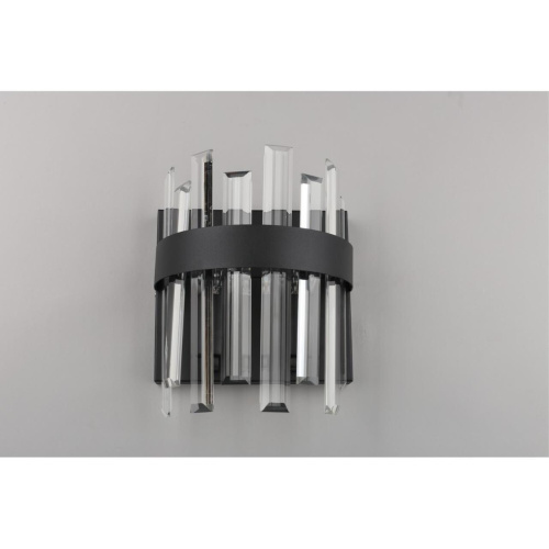 Светильник настенный (Бра) OML-69411-02 фото 2