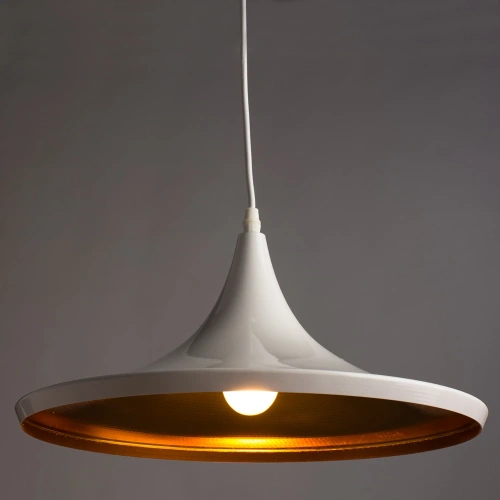 Подвесной светильник Arte Lamp CAPPELLO A3406SP-1WH фото 2 Подвесной светильник Arte Lamp CAPPELLO A3406SP-1WH фото 2