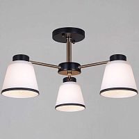 Потолочная люстра Reluce 30560-0.3-03 BK+FG