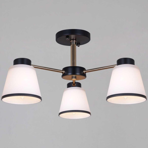 Потолочная люстра Reluce 30560-0.3-03 BK+FG