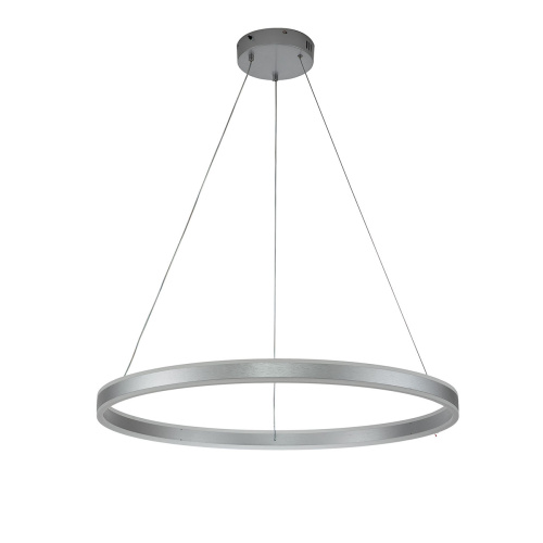 Подвесной светильник 14001/1P Silver фото 2 Подвесной светильник 14001/1P Silver фото 2