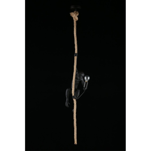 Светильник подвесной APL.309.16.01 фото 16 Светильник подвесной APL.309.16.01 фото 16