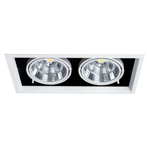 Карданный светильник Arte Lamp MERGA A8450PL-2WH фото 7