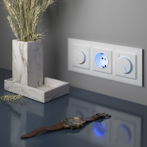 Рамка из стекла на 3 поста Favorit белый матовый W0031105 фото 2