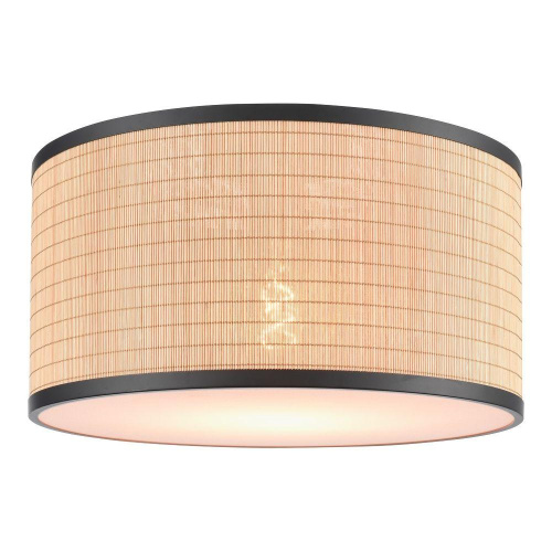 Потолочный светильник Velante 568-717-01 Потолочный светильник Velante 568-717-01