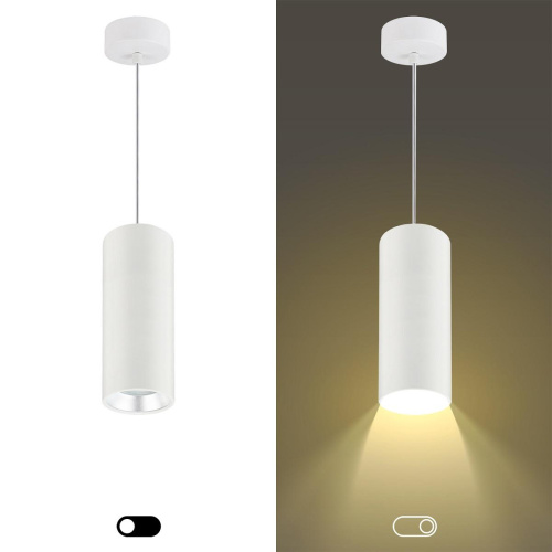 Подвесной светильник ЭРА PL12 GX53 WH/SL Б0048543 фото 7