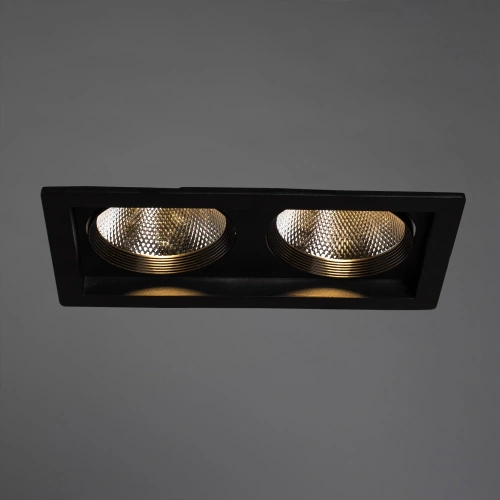 Точечный встраиваемый светильник Arte Lamp PRIVATO A7007PL-2BK фото 2 Точечный встраиваемый светильник Arte Lamp PRIVATO A7007PL-2BK фото 2