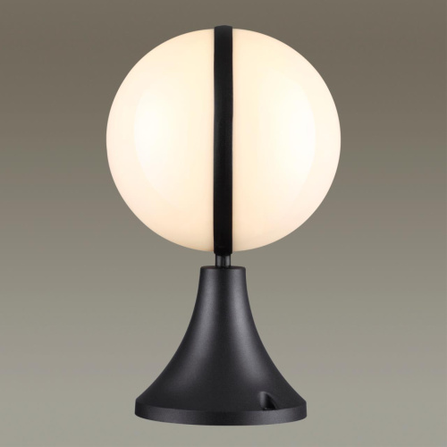 4832/1A NATURE ODL21 709 черный/акрил Ландшафтный светильник на базу E27 1*10W IP44 IP44 LOMEO фото 4 4832/1A NATURE ODL21 709 черный/акрил Ландшафтный светильник на базу E27 1*10W IP44 IP44 LOMEO фото 4