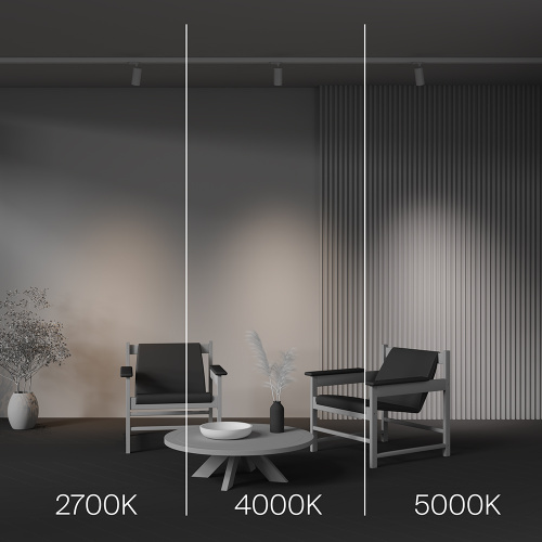 Трековый светильник Technical TR197-3-12WCCT-M-W фото 2