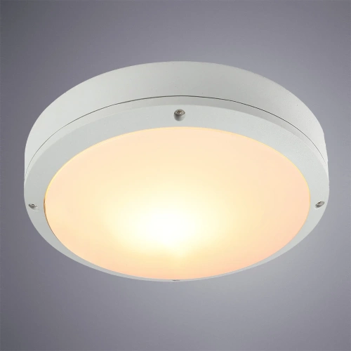 Уличный потолочный светильник Arte Lamp CITY A8154PF-2WH фото 2