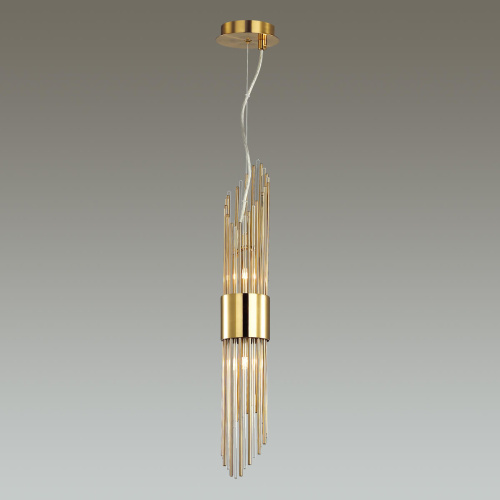 Подвесной светильник Odeon Light Hall Flambi 4847/2 фото 2 Подвесной светильник Odeon Light Hall Flambi 4847/2 фото 2