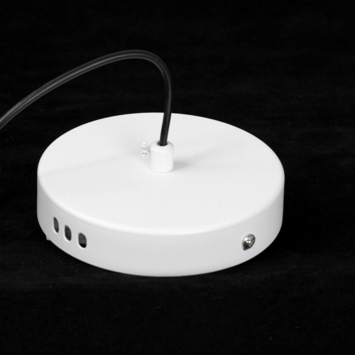 Подвесной светодиодный светильник Lussole Loft Irvine LSP-7341 фото 6