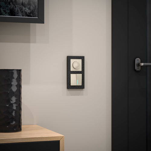 Выключатель двухклавишный с подсветкой (слоновая кость) W1120103 фото 2 Выключатель двухклавишный с подсветкой (слоновая кость) W1120103 фото 2