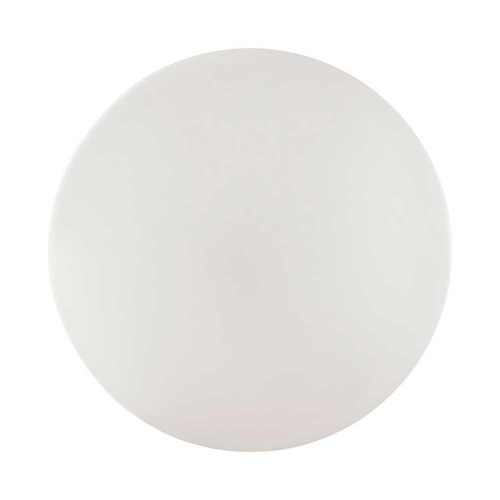 Настенно-потолочный светодиодный светильник Sonex Pale Vale 3040/DL фото 4