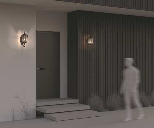 Уличный настенный светильник Outdoor O413WL-01BZ1 фото 8