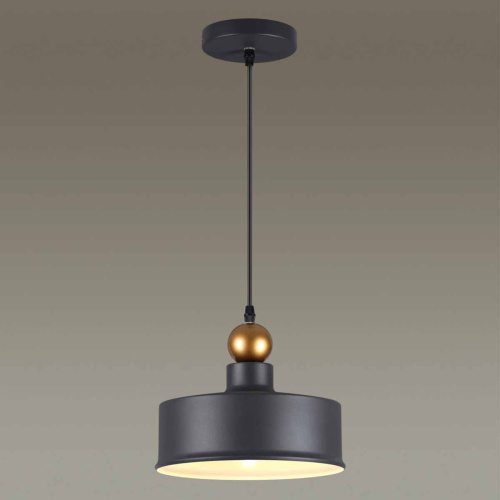 Подвесной светильник Odeon Light Pendant Bolli 4088/1 фото 3 Подвесной светильник Odeon Light Pendant Bolli 4088/1 фото 3