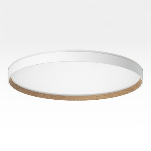 Citilux ETALON CL750500R LED RGB Светильник с пультом Белый+Бук фото 7 Citilux ETALON CL750500R LED RGB Светильник с пультом Белый+Бук фото 7