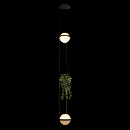 10121/2P Dark grey Подвесной светильник LOFT IT Jardin фото 6