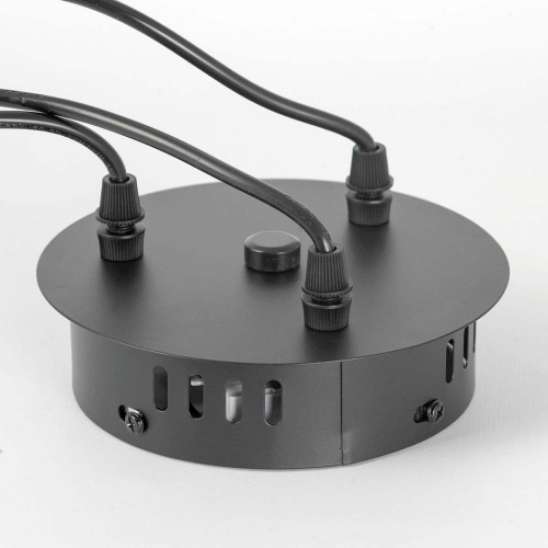 Подвесная люстра Lussole LOFT Jasper LSP-8641 фото 2